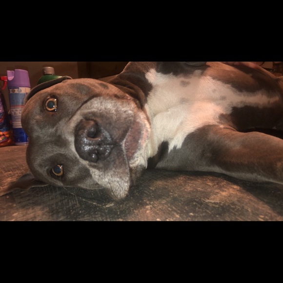 Meet your Posher, Kailey - Picture 1 of 1